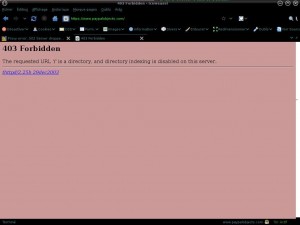 paypal_under_ddos