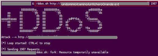 googleDDOS-1