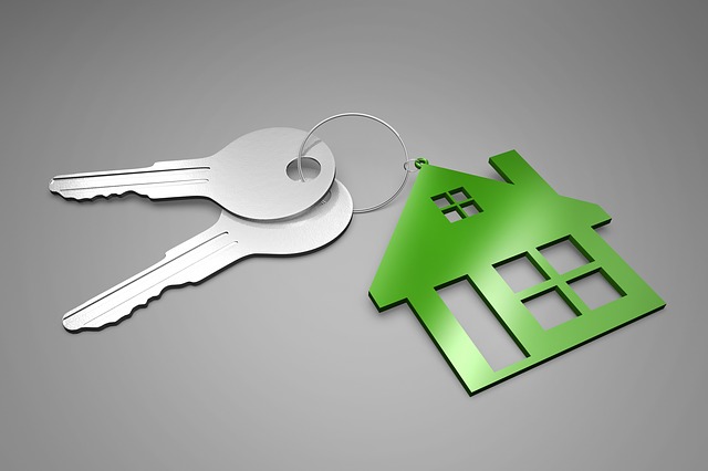 phishing-immobilier