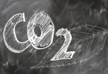 Comment mettre votre datacenter « carbonivore » au régime