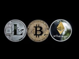 Le top 5 des cryptomonnaies à connaître