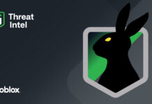 Infoblox dévoile le monde caché des RDGA, avec la mascarade à un million de dollars de Revolver Rabbit