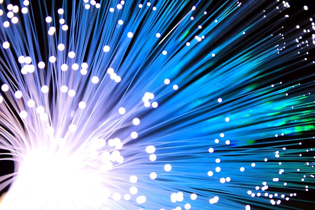 fibre-optique