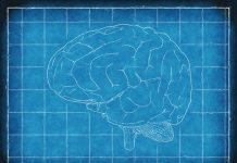 Mauvais alignement : que faire pour augmenter la productivité ?